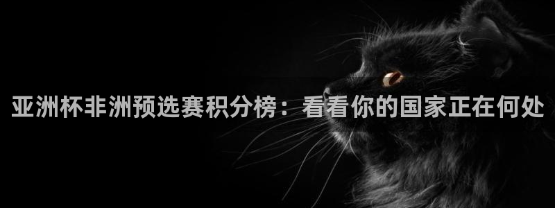 英足总杯直播:亚洲杯非洲预选赛积分榜:看看你的国家正在何处
