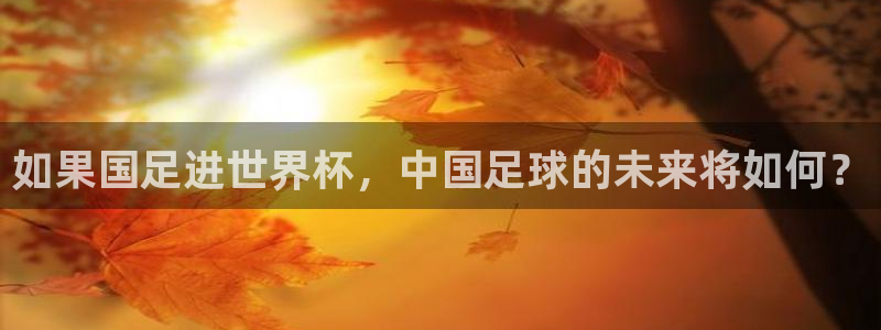 世界杯欧洲区赛程:如果国足进世界杯,中国足球的未来将如何?