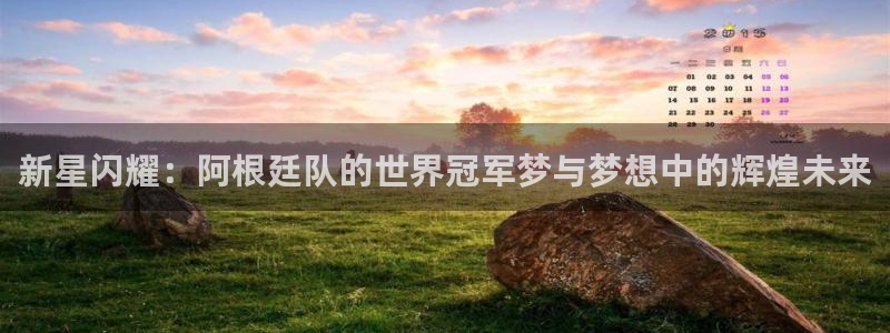 世界杯赛程2026:新星闪耀:阿根廷队的世界冠军梦与梦想中的辉煌未来