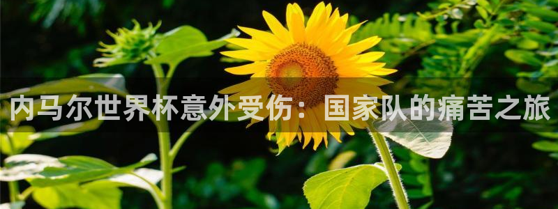 世界杯决赛预测:内马尔世界杯意外受伤:国家队的痛苦之旅