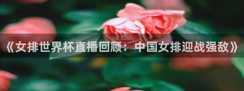 世界杯预选赛欧洲赛区积分榜:《女排世界杯直播回顾:中国女排迎战强敌》