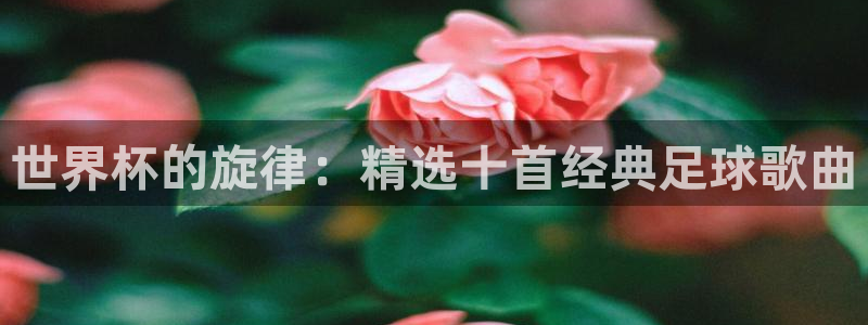 国际足联世界杯:世界杯的旋律:精选十首经典足球歌曲